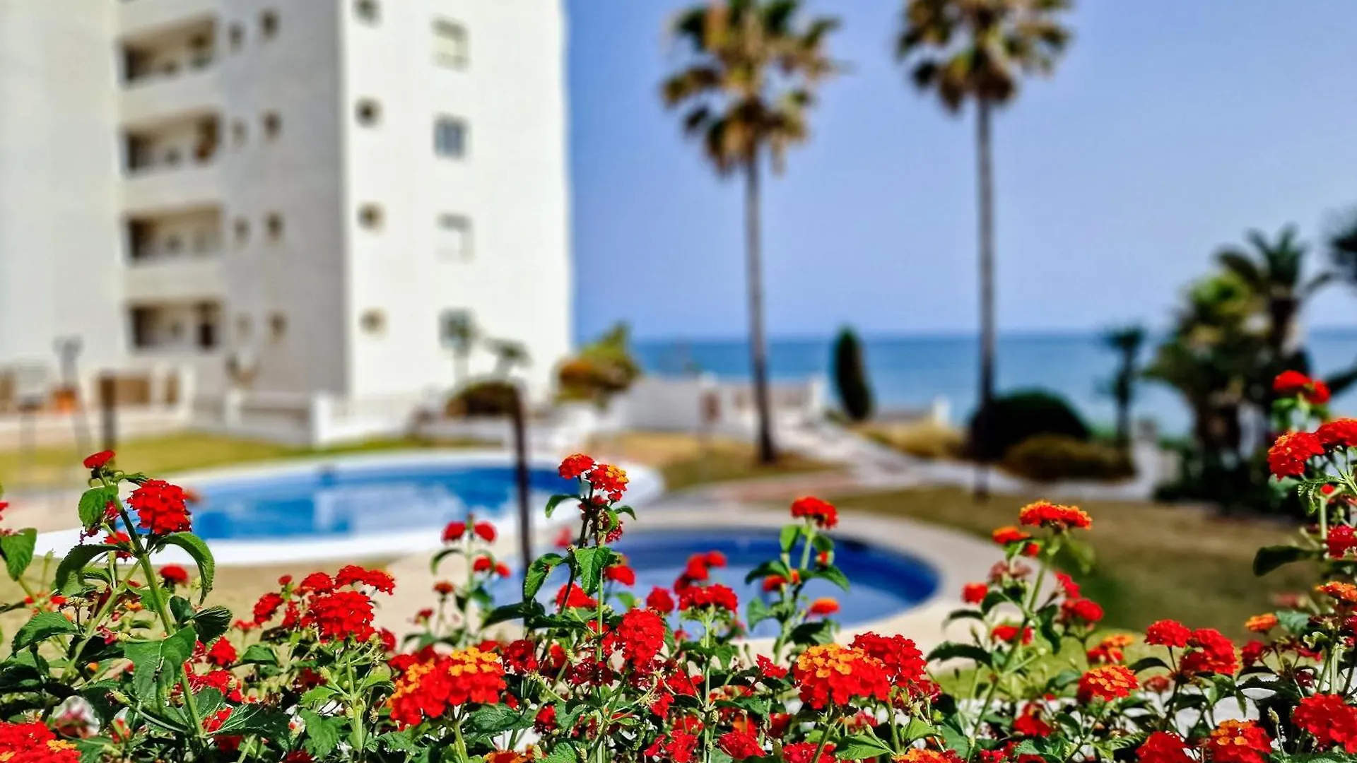 El Jardin Secreto Apartment Sitio de Calahonda 0*,